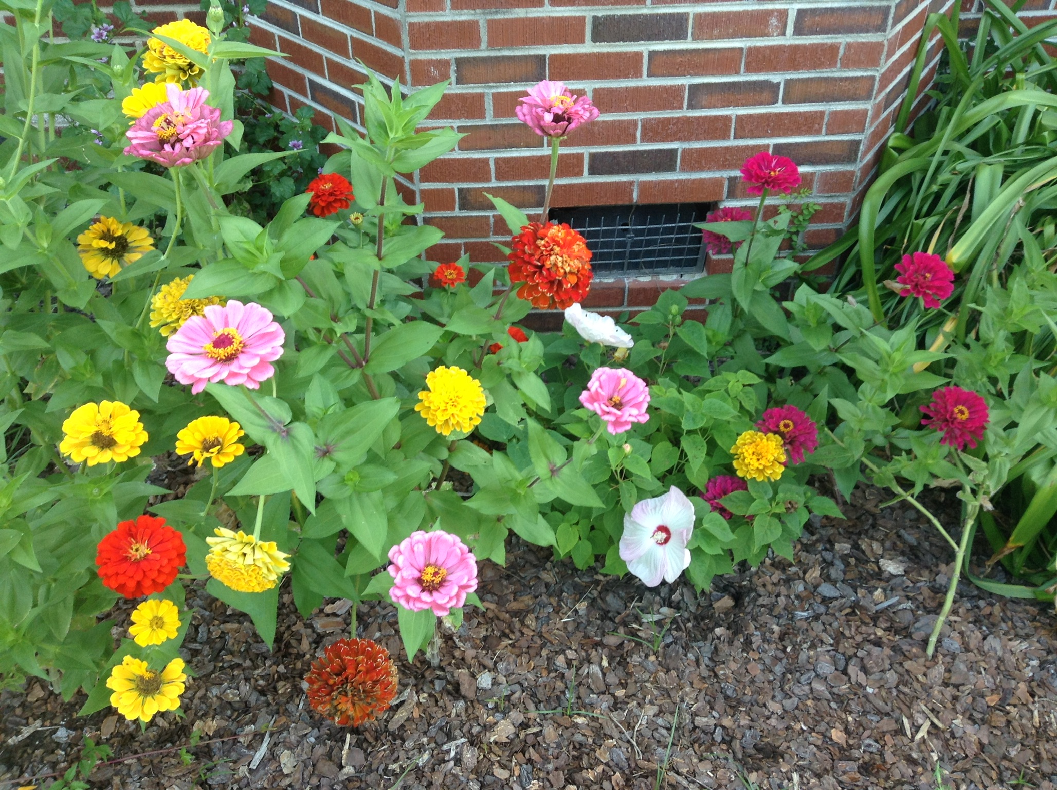 I can grow beautiful things.